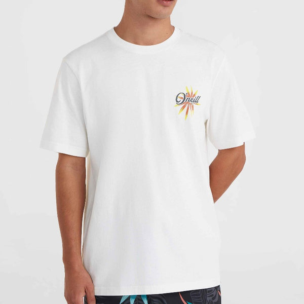 O'Neill beach graphic t-shirt 2850262 – Melody Blue