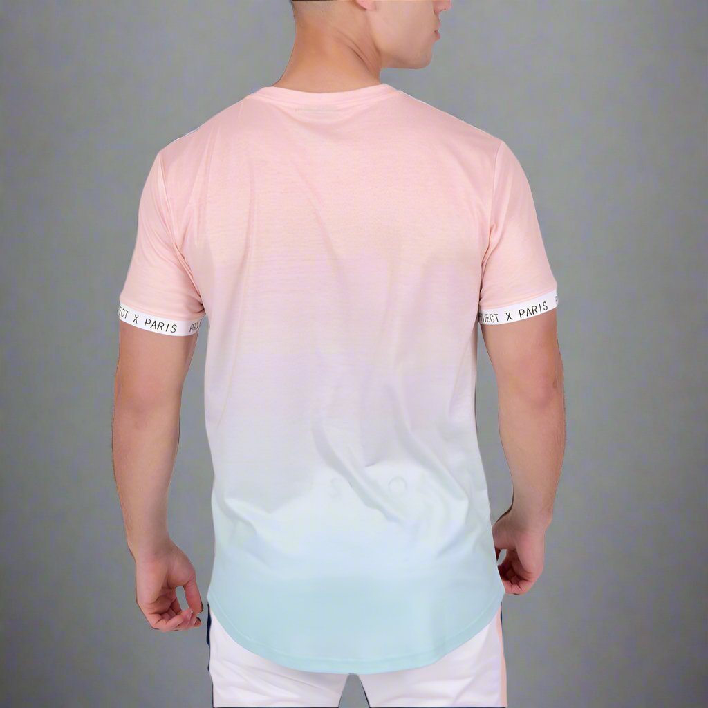 Tshirt Degrade Rose et Bleu Project X Paris Derriere